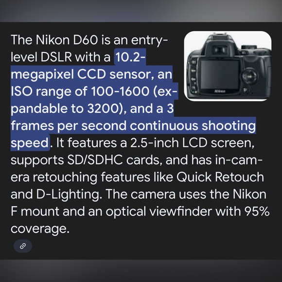 Nikon Black DSLR Camera with Dual Lens Set - Picture 10 of 11